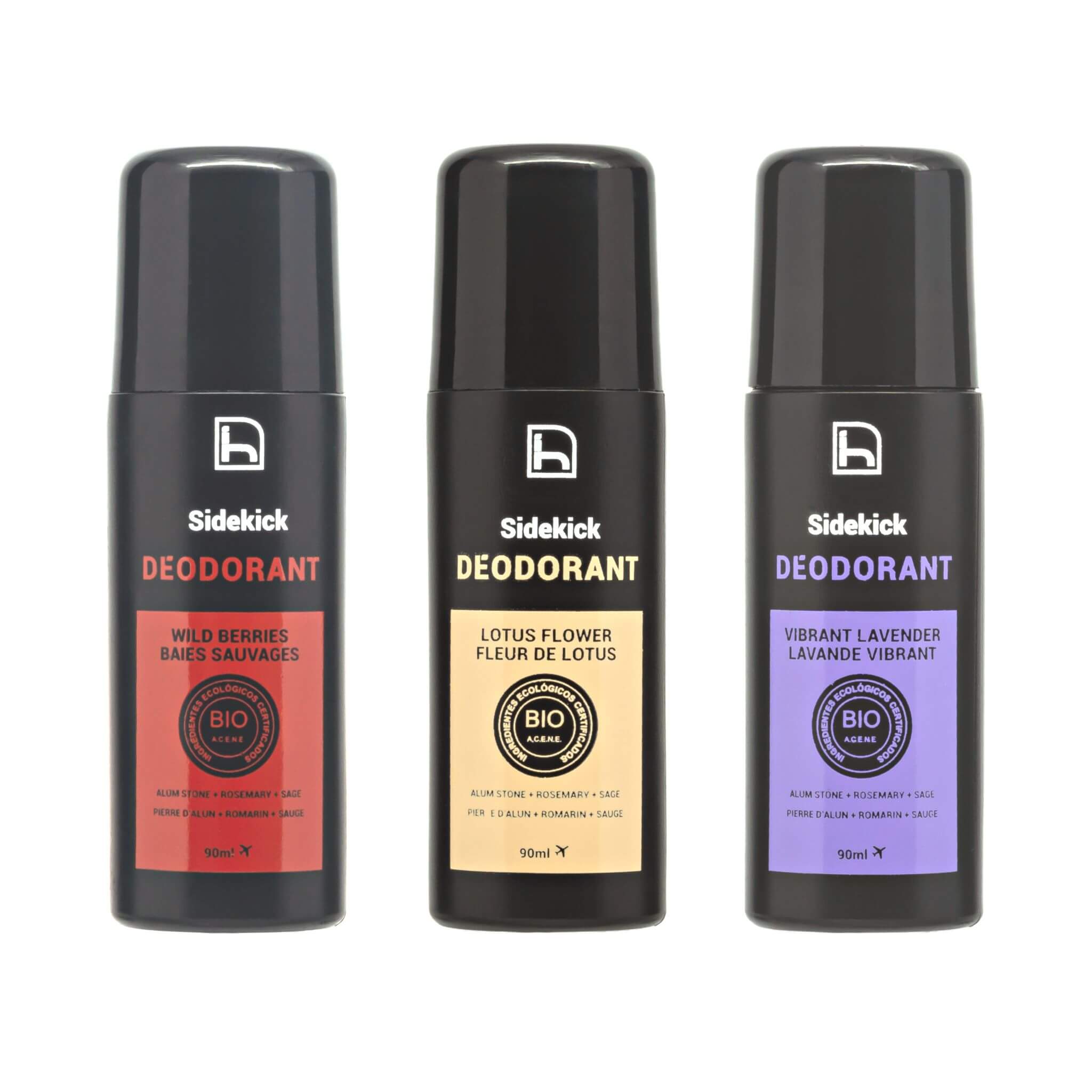 3 DEODORANT ASSORTMENT FOR MEN